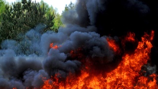 Аргентина: UNESCO рўйхатига киритилган боғда ёнғин содир бўлди