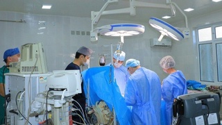 Гематопоэтик суяк кўмиги ўзак ҳужайраларини трансплантация қилиш тартиби белгиланди