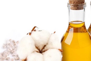 Monopoliyaga qarshi kurashish qoʻmitasi tomonidan paxta yogʻi narxlari keskin oshganligi yuzasidan oʻrganish oʻtkazildi