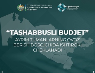 В двух районах Андижанской области отменен этап голосования «Инициативного бюджета - 2025»
