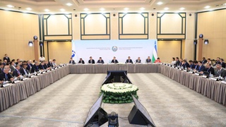 Өзбекстан Республикасы Президенті құзырындағы Шетелдік инвесторлар кеңесінің аралық мәжілісі өтті