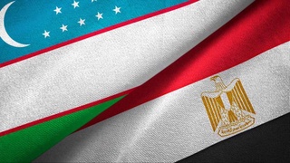 В Египте будут созданы узбекские предприятия по производству текстильной, кожаной и электротехнической продукции