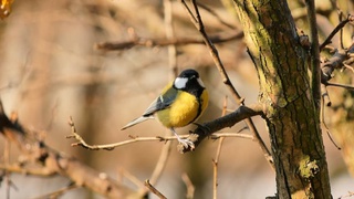 Прогноз погоды на 26 января