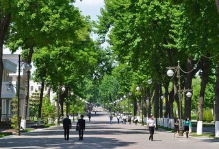 Uzhydromet: moderately hot weather is expected in Uzbekistan this week