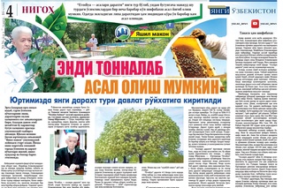 Endi tonnalab asal olish mumkin