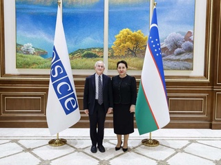 Сенатда ўтган учрашувда Ўзбекистонда қонунлар халқаро стандартлар асосида қабул қилинаётгани эътироф этилди