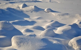 Qordan elektr energiyasi olinadi