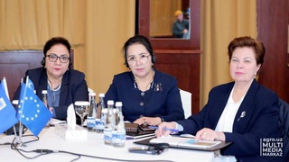 Миссия экспертов из Италии: поддержка инклюзивного перехода к «зеленой» экономике