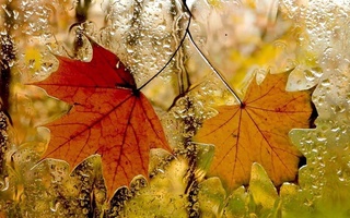 Дар як қатор минтақаҳо ҳаво якбора сард шуда, борон ба барф табдил меёбад