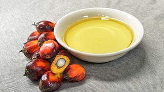 Индонезия нефт ва газга муқобил манба топди