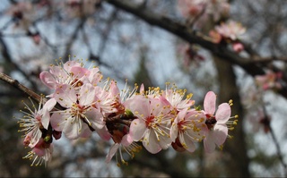 Прогноз погоды на день 1 марта