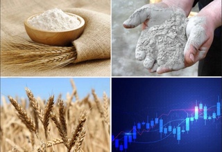 На Узбекской республиканской товарно-сырьевой бирже снизились цены на муку, зерно и цемент