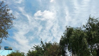 Бугун кундуз куни республика бўйича қуруқ ва кам булутли об-ҳаво сақланиб туради