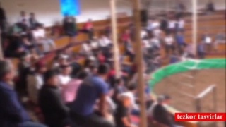 Samarqandda xoʻroz urishtirish uchun maxsus “arena” tashkil qilgan shaxs ushlandi