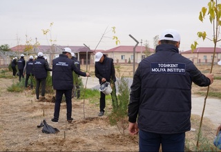 Toshkent moliya instituti Jizzax viloyati Mirzachoʻl tumanida obodonlashtirish va koʻchat ekish ishlarini olib bordi