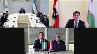 Ташкент и Вена планируют создать Центр подготовки и отправки трудовых мигрантов на работу Австрию и Германию