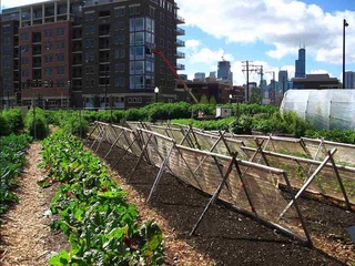 Қалалар шекарасындағы ауыл шаруашылығы кәсіпорындары үшін салық жүктемесі жеңілдетіледі