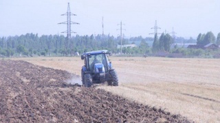 Fermer xoʻjaliklari va klasterlardagi mavsumiy ish joyi ish oʻrni hisoblanadi