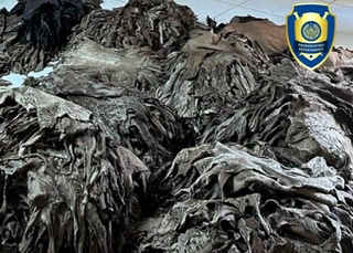 Tadbirkorning mulkini qoʻlga kiritgan firibgar ushlandi