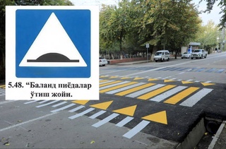 В Правила дорожного движения вводятся новые знаки для безопасности пешеходов