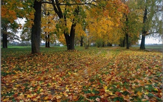 Прогноз погоды на 13 ноября