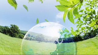 Сохранить окружающую природу: какие решения предлагают навоийские экологи?