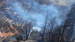 Zominda yuz bergan yirik yongʻin yuzasidan olib borilayotgan tergov harakatlari toʻgʻrisida maʼlumot berildi
