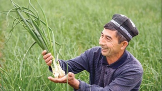 Здравый смысл, трудолюбие, хозяйский подход