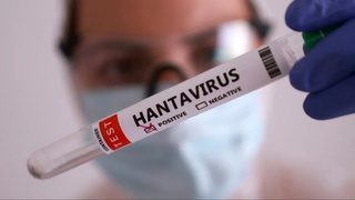 В Великобритании заявили о третьем случае заражения хантавирусом