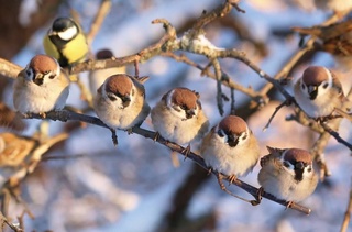 Прогноз погоды на 6 января