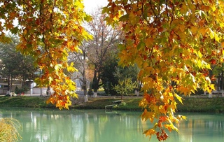 Uzhydromet: Uzbeks are waiting for a warm weekend up to +28 degrees