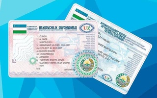 Создана возможность подачи электронного заявления для получения нового образца водительского удостоверения