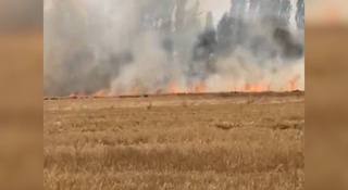 Сурхондарёда сомонпоя ёқиб юборилди