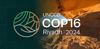 COP16: страны мира вновь объединяются для борьбы с засухой и опустыниванием