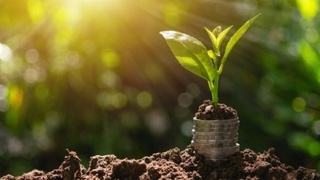 Қишлоқ хўжалиги экинлари ҳосилини суғурталашда суғурта мукофотининг бир қисми учун субсидия ажратиш тартиби белгиланди