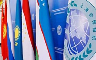 Тошкент ШҲТ Халқ дипломатияси форумига ҳозирлик кўрилмоқда