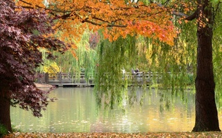 Прогноз погоды на 7 ноября