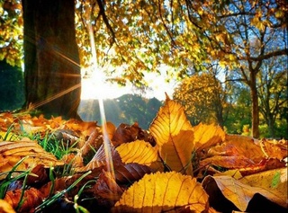 28-сентябрь күни болатуғын ҳаўа райы ҳаққында мағлыўмат