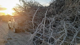 Экоконтроль в Узбекистане: принимая своевременные меры