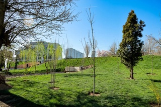 Toshkentda birinchi jamoat yashil parki ochiladi