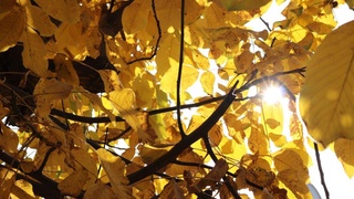 Тепло еще вернется. Прогноз погоды на ближайшие выходные