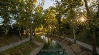 Dam olish kunlari iliq ob-havo bo‘lishi kutilmoqda