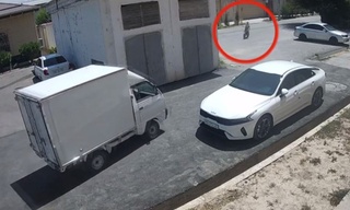 Самарқандда "Labo" 9 ёшли болани уриб юборди