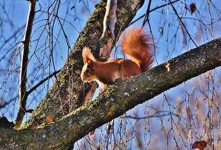 Пешгӯии обу ҳаво барои 13 январ