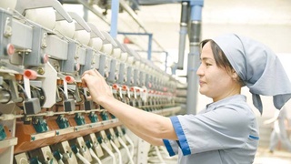 Создана прочная цепочка по выращиванию продукции, ее переработке и доставке потребителю