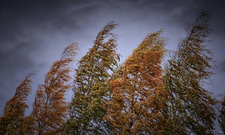 Hafta davomida beqaror ob-havo boʻlishi kutilmoqda