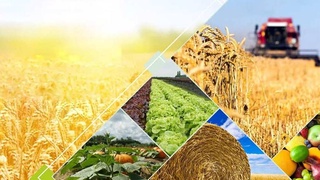 Приумножая традиции бережного отношения к земле