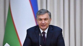 Uzbekistan’s President addresses ILO Global Summit on COVID-19 and the World of Work