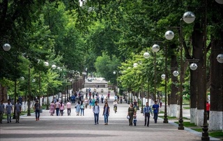 Халықтың бәнтлигин тәмийинлеў, оларды исбилерменликке тартыў ҳәм дәраматларын арттырыў бойынша жаңа қатнаслар енгизиледи