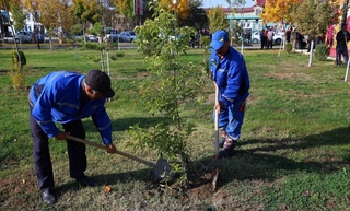 В Узбекистане внедряется система «Общественный экологический контролер»